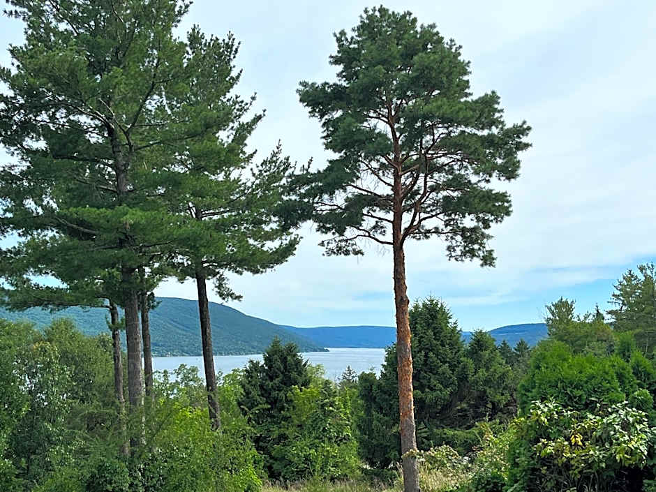 Canandaigua Lake Retreat with view and private beach access, foliage, hike, and Ski