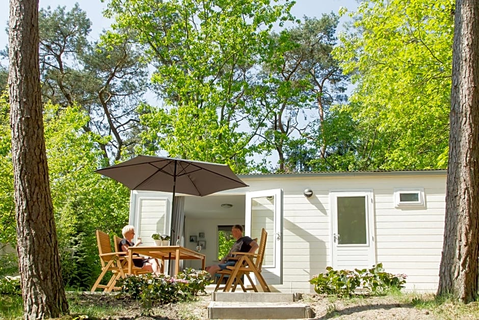 Tiny House Lijster Nunspeet Veluwe