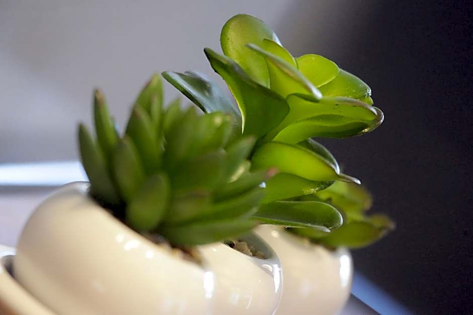 Best Western Plus Vauxhall Hotel