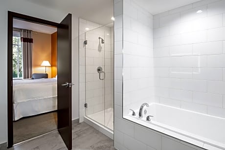 Suite, 1 Bedroom (1 King Bed and 1 Double Sofa Bed)