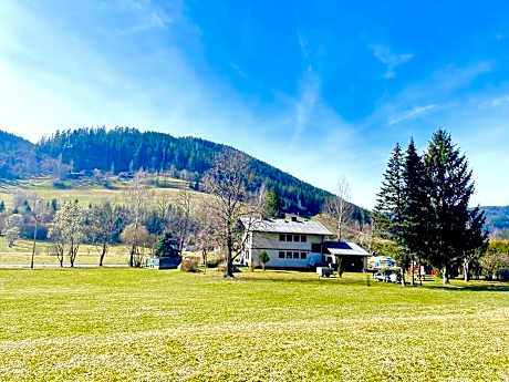 Chalet in Flattnitz near Ski Slopes  Lakes