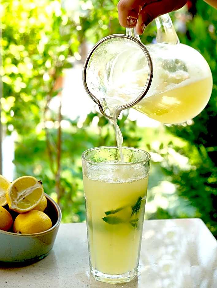 Egehan Butik Hotel Dalyan