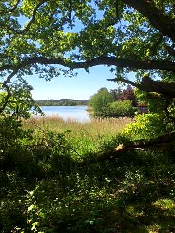 Claremont Coach House