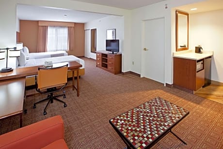 1 King Bed Executive Suite Kitchenette Non-Smoking