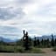 Denali Park Hotel