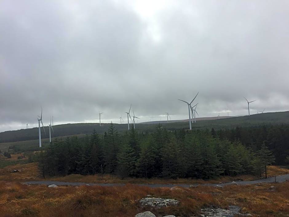 Carrowntober House B & B