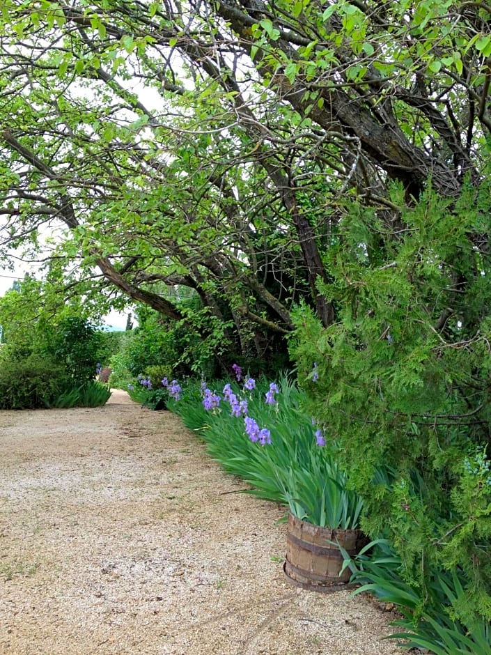 B&B Chambre de Julie Le Jardin