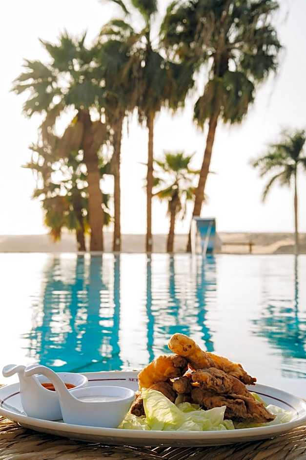 Seti Abu Simbel Hotel