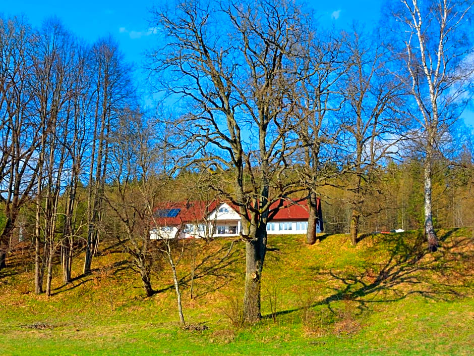 Dwór i Dworek Leszczowate Wellness & Spa