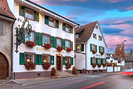 Hotel Adler - Weil am Rhein
