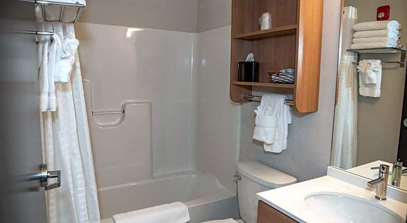 Microtel Inn & Suites by Wyndham Carlisle