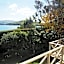 Captain Eady's Lookout