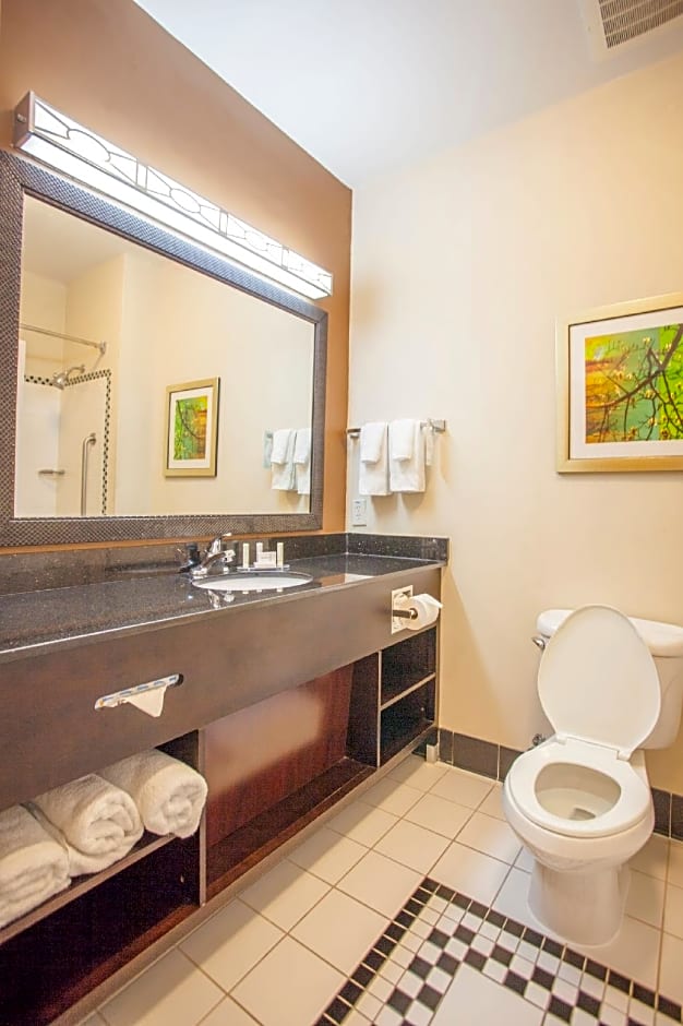 Fairfield Inn & Suites by Marriott Houston Channelview