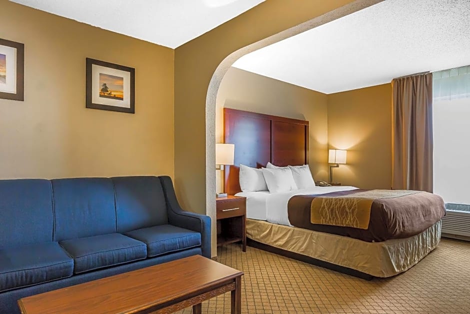 Comfort Inn & Suites South Bend