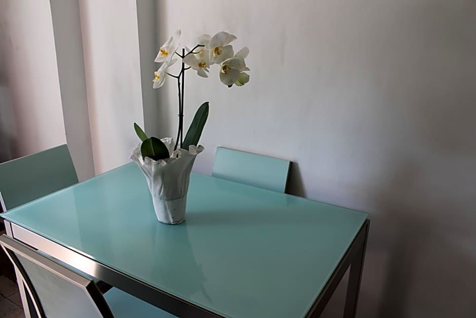 Le Terrazze Del Vaticano