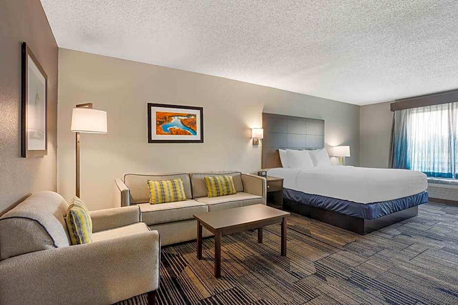 Photo 1 of 4 of Executive 1 King Bed with Sofabed