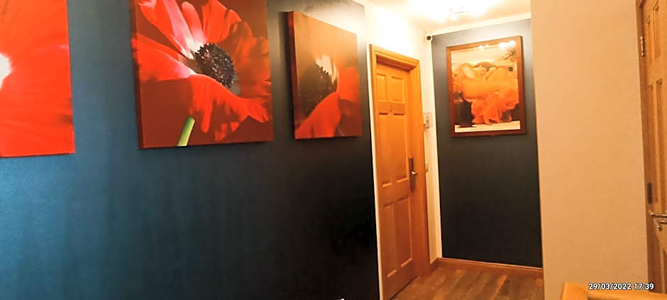 Outlander Boutique B&B ONLY ADULT Delux Room