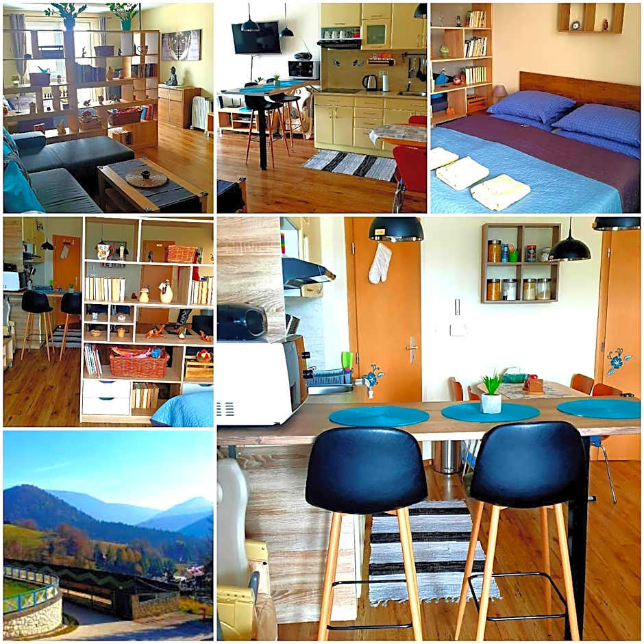 Apartman BibKa