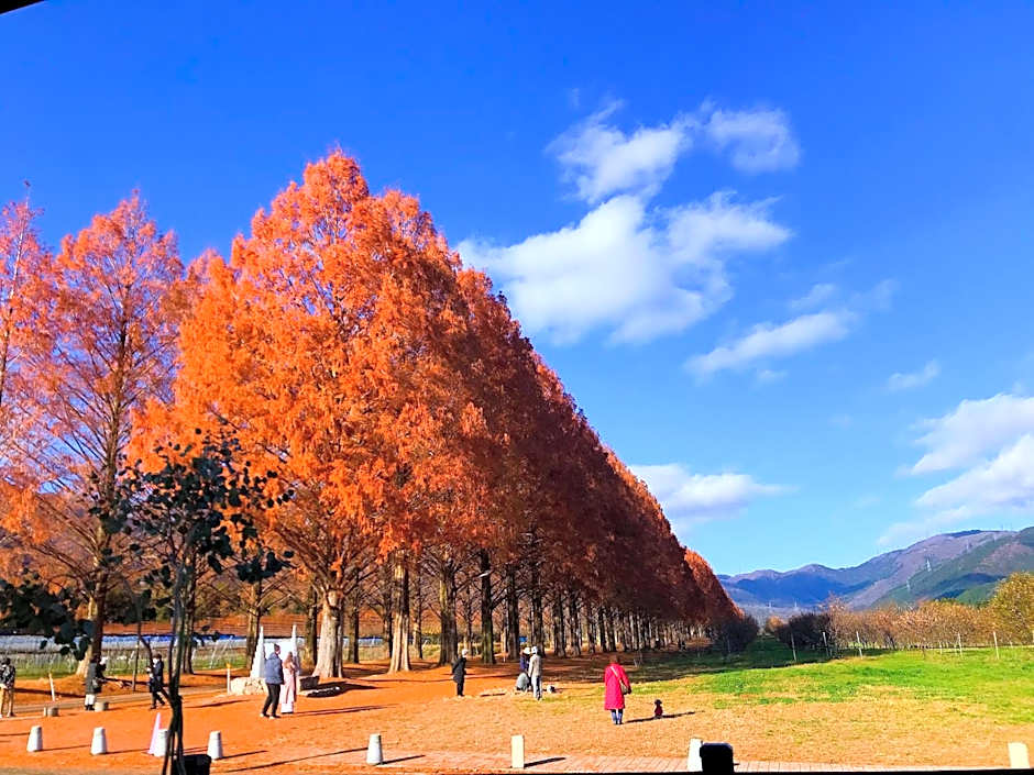 Forest Villa YUMESUZU the Closest Accommodation to the Metasequoia Tree-lined Avenue
