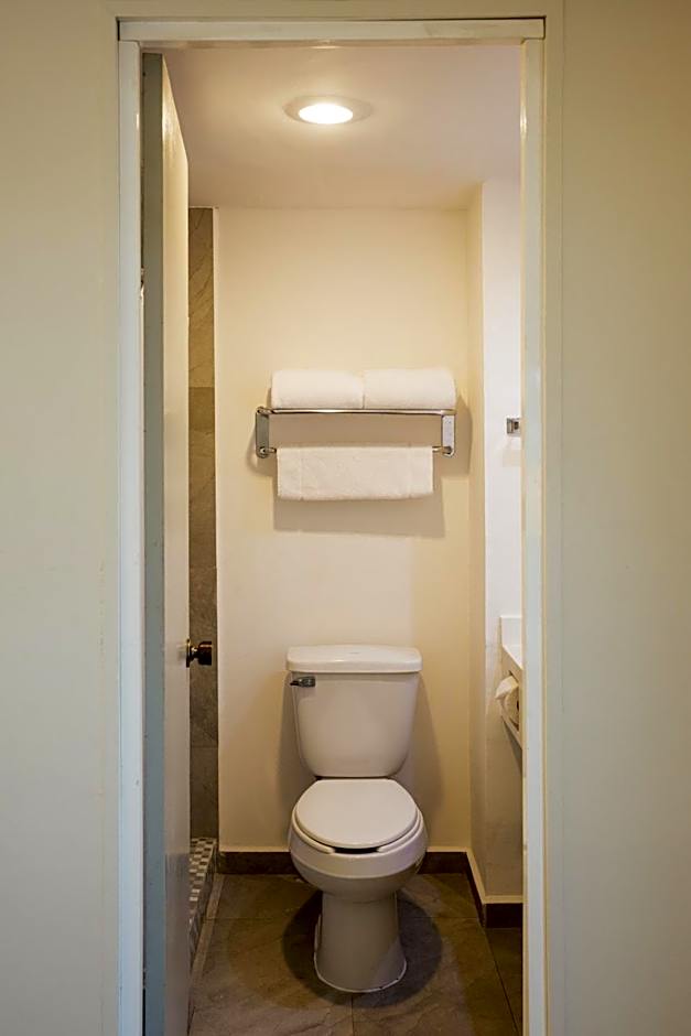 Hotel Parque Central