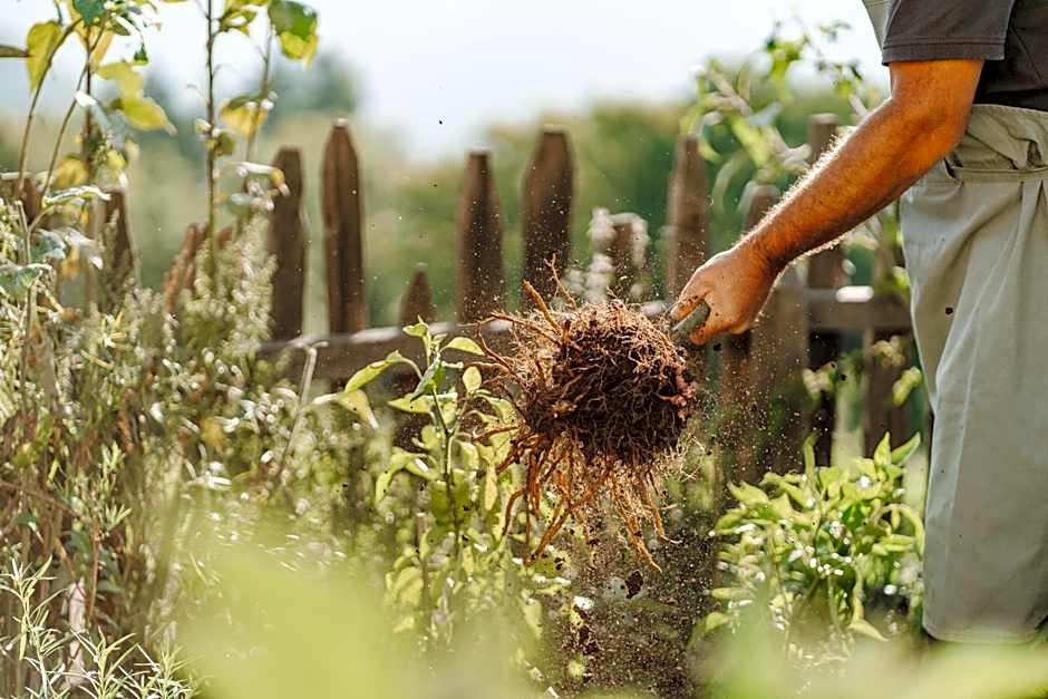 Hotel & Gasthof zum Hirschen