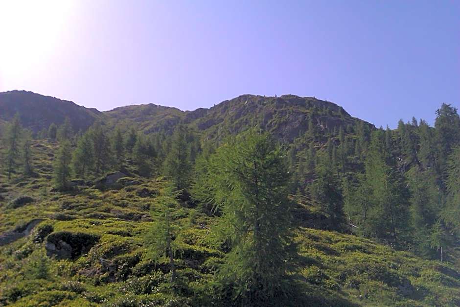 Apartmentshaus Dual - 2