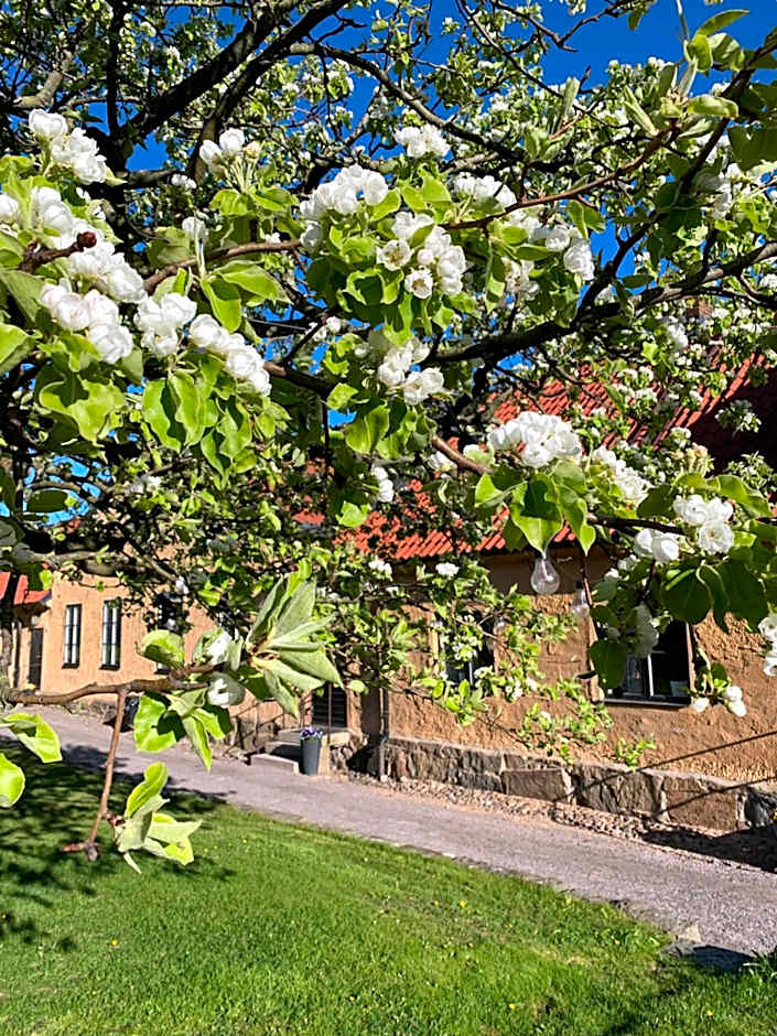 Fästningens