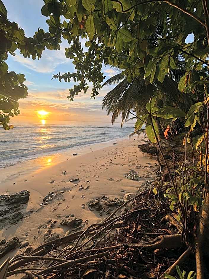 Moile Moile Surfcamp