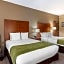 Comfort Inn & Suites Sacramento