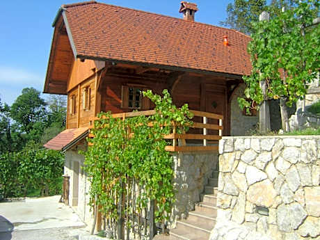 Vineyard cottage Zidanca med vinogradi