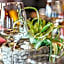ibis Styles Douai Centre Gayant Expo