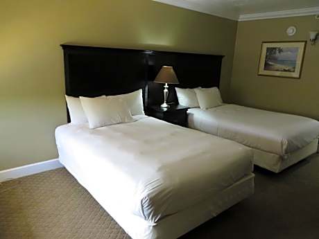 Deluxe Double Room with Two Double Beds - Smoking