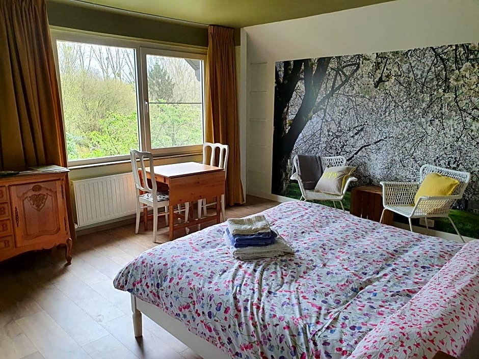 Villa Kakelbont Borgloon