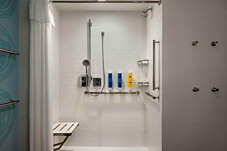 Tru by Hilton Ankeny