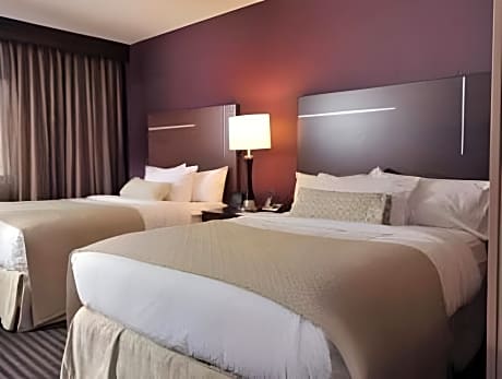 Double Suite - Wellness Allergy Friendly
