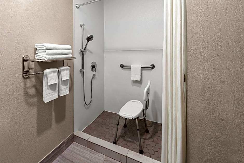 Foto 1 di 4 di 1 King Bed, Mobility Accessible, Grab Bars, Bathtub