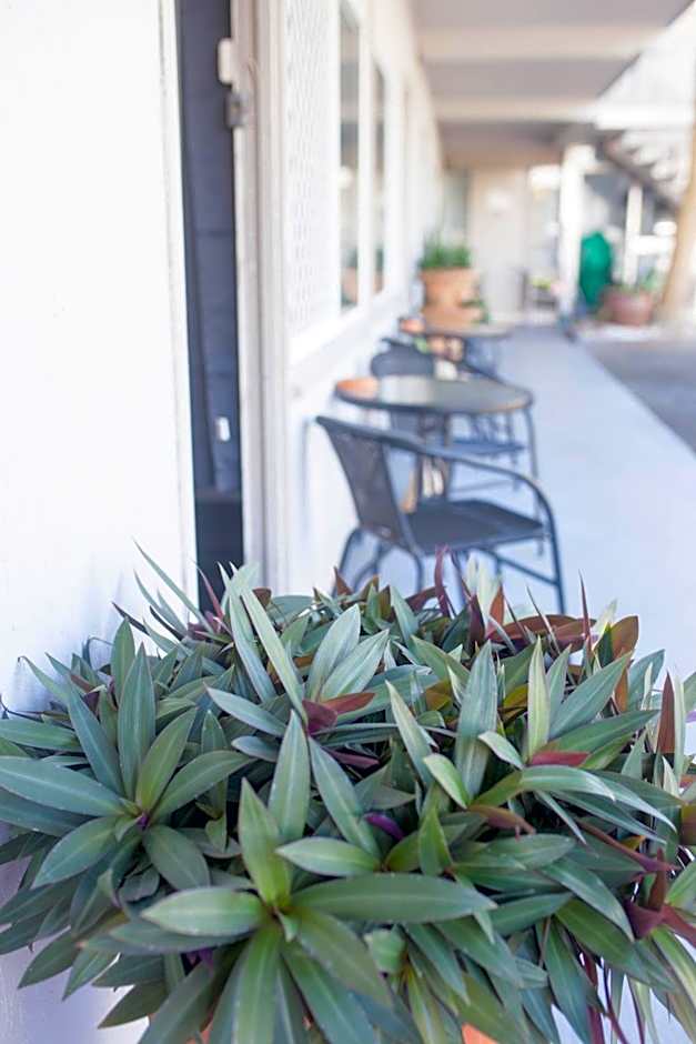 Cairns City Motel