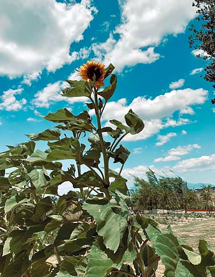 Cento Giorni B&B Costa Paestum