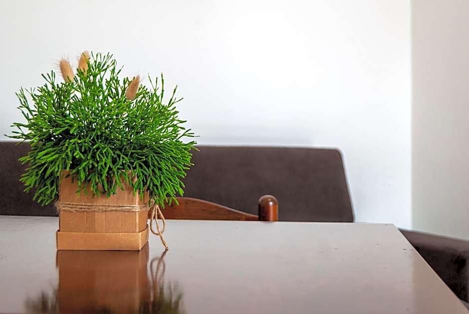 B&B Masseria Donna Carlotta