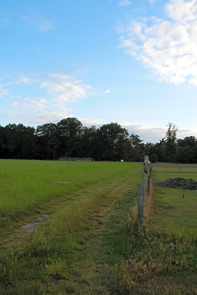 Hoeve Op Vollenhof