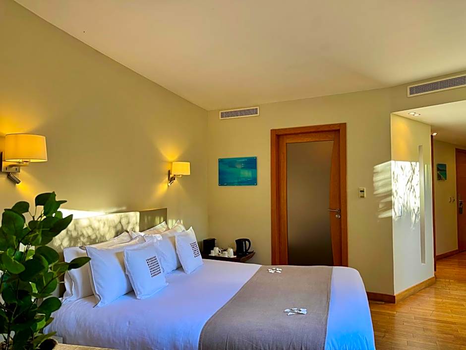 Cannes Villa St Barth