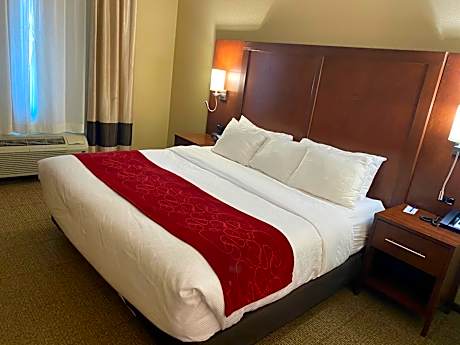 King Suite with Roll-In Shower - Accessible/Non-Smoking