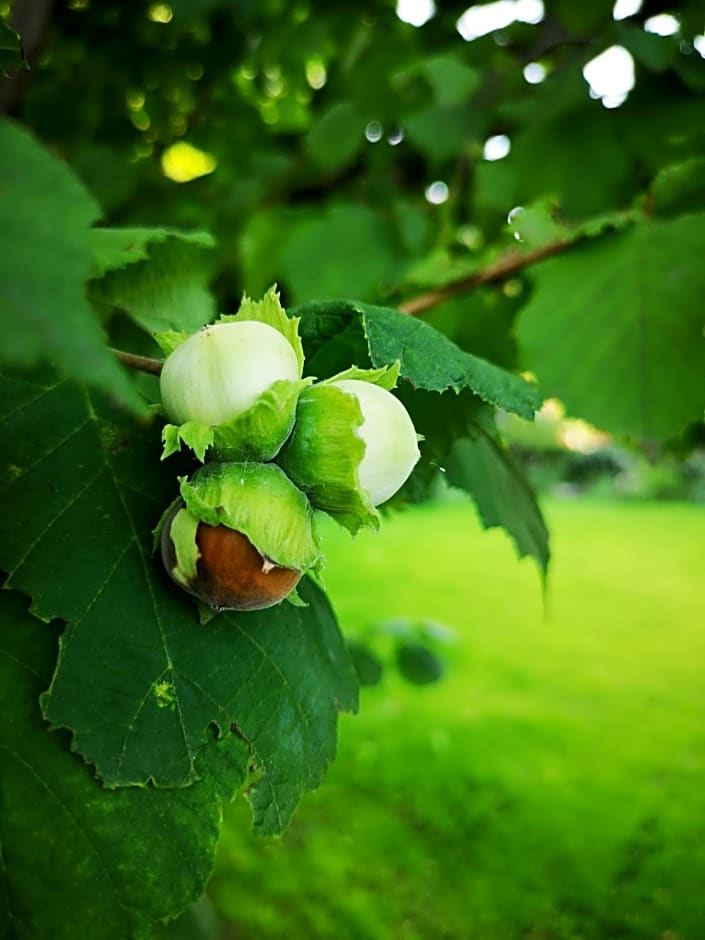 Alloggio del Fiume - Le Vecchie Vasche