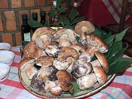 Hotel Duca Di Calabria