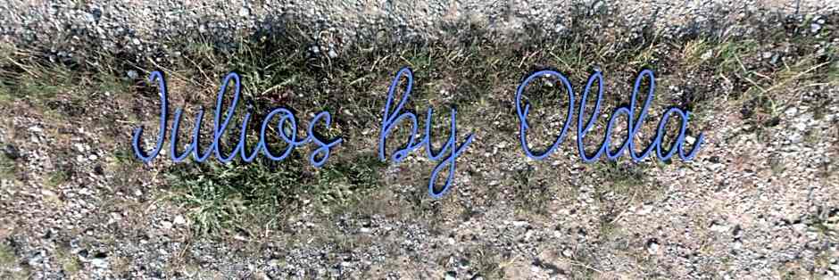 Hotel Nuevo Julios by Olda