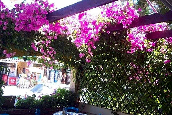 Hostel Stylianos Kissamos