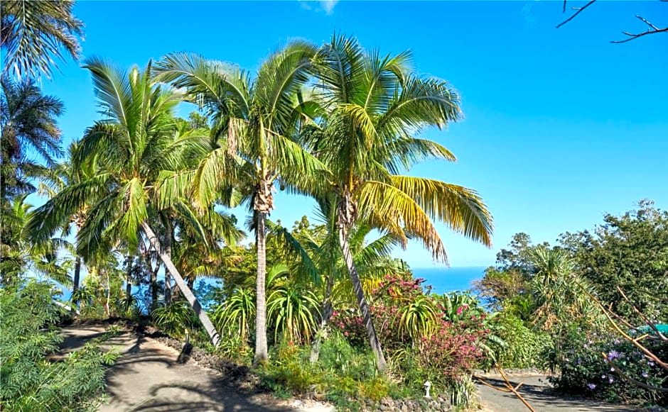 Saint Leu - Chambre 3 épis avec PDJ piscine en pleine nature vue mer - Bardzour