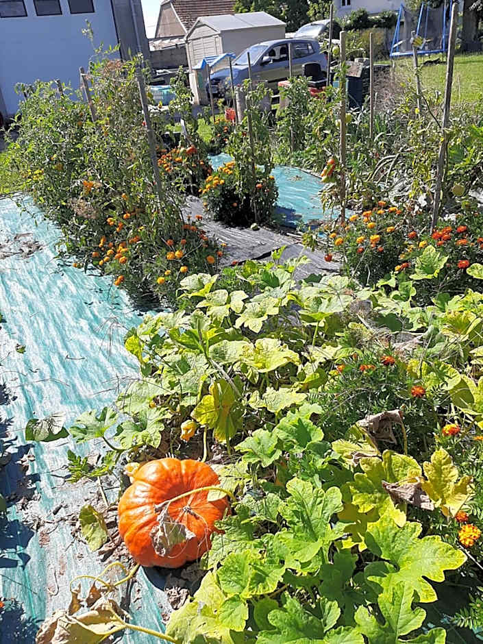 La Coutrotte Becquine