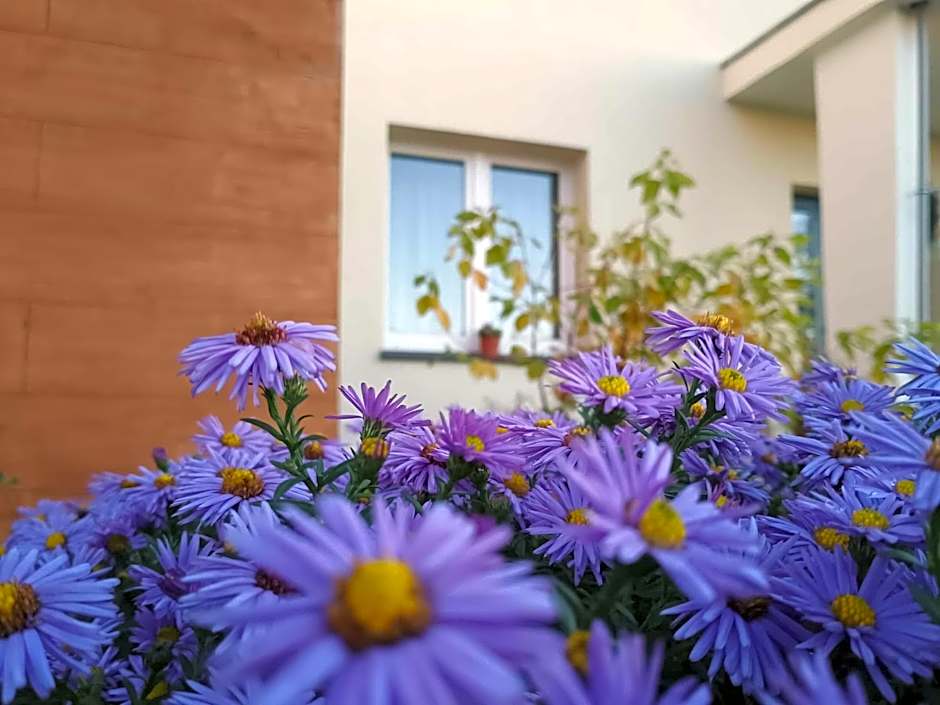 Noclegi nad Biebrzą Stara Szkoła