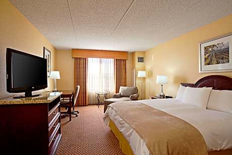 Room, 1 King Bed, Non Smoking (1 King Bed)